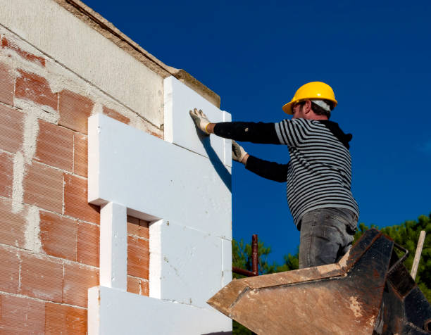 Best Commercial Insulation in Lacoochee, FL