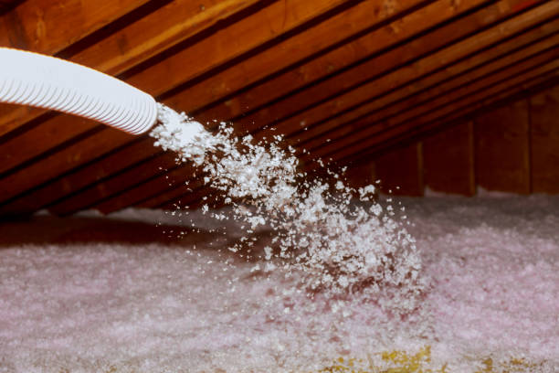 Best Insulation for Specific Applications in Lacoochee, FL