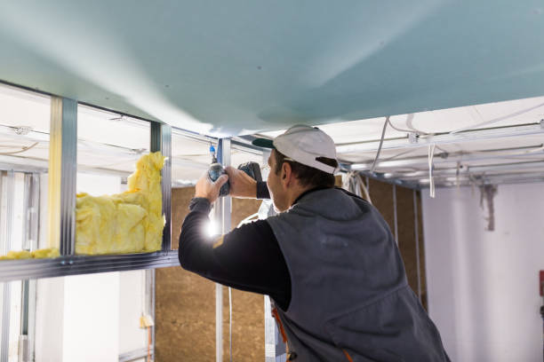 Best DIY Insulation Kits and Guidance in Lacoochee, FL