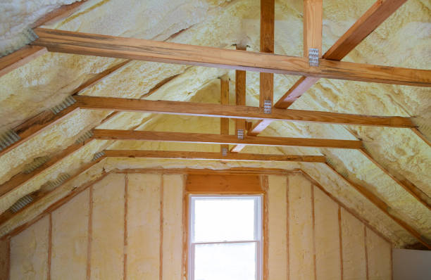 Best Residential Insulation in Lacoochee, FL