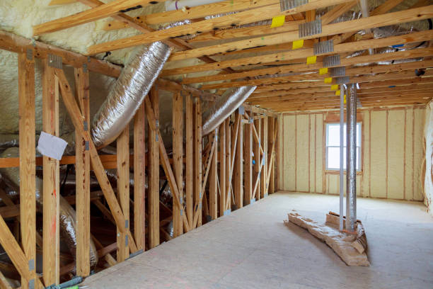 Best Eco-Friendly Insulation in Lacoochee, FL