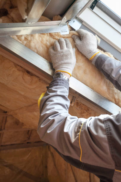 Best Energy Efficiency Insulation in Lacoochee, FL
