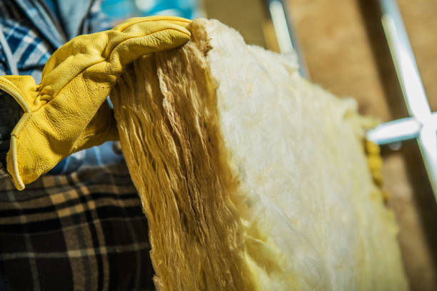 Best Geographic-Specific Insulation Services in Lacoochee, FL