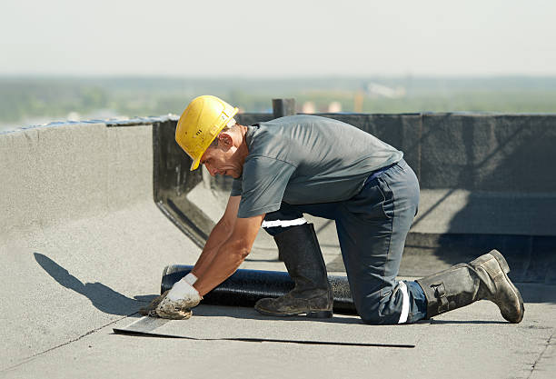 Best Insulation Maintenance and Repair in Lacoochee, FL