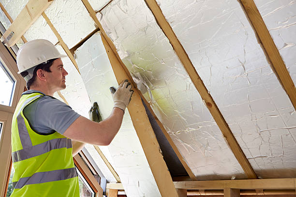 Professional Insulation Contractor in Lacoochee, FL