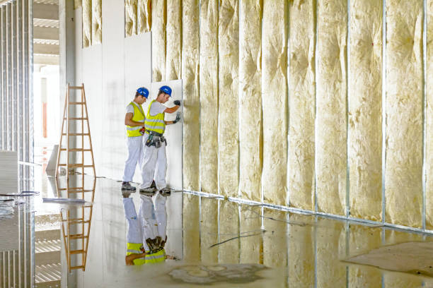 Trusted Lacoochee, FL Insulation Contractor Experts